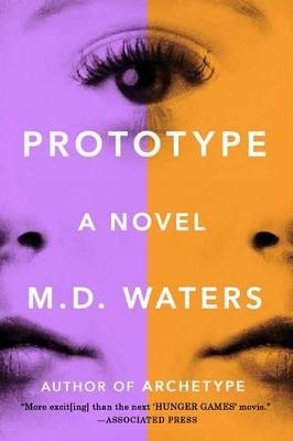 Book cover for Prototype