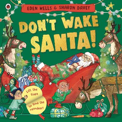 Book cover for Don't Wake Santa