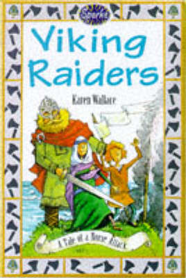 Book cover for Viking Raiders