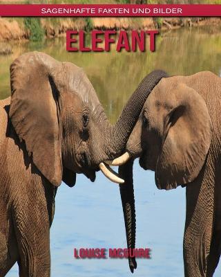 Book cover for Elefant