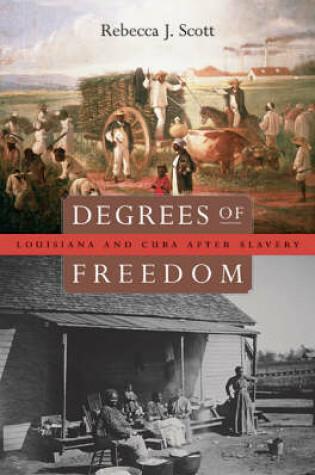 Cover of Degrees of Freedom