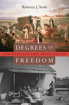 Book cover for Degrees of Freedom