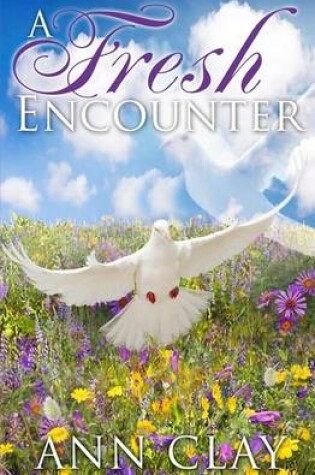 Cover of A Fresh Encounter