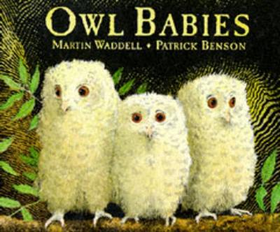 Book cover for Owl Babies