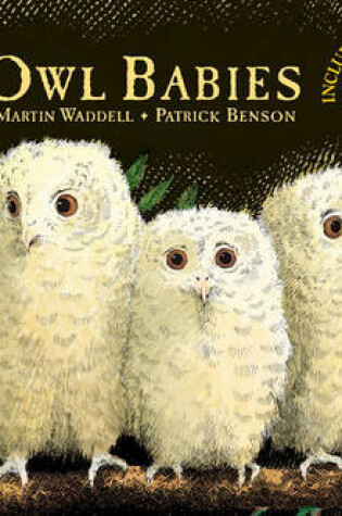 Cover of Owl Babies