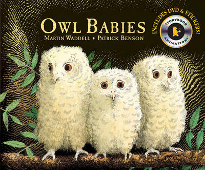 Book cover for Owl Babies