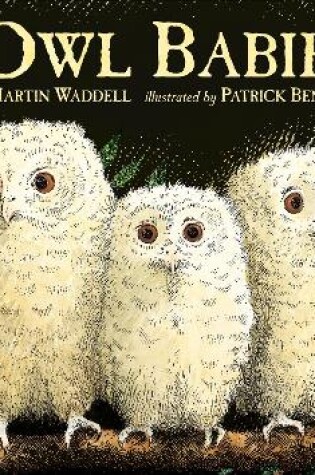 Cover of Owl Babies