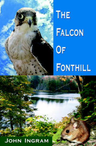 Cover of The Falcon Of Fonthill