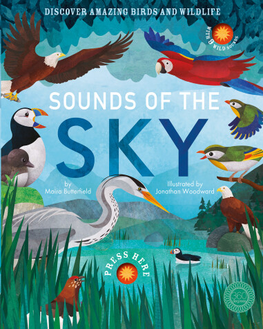Book cover for Sounds of the Sky