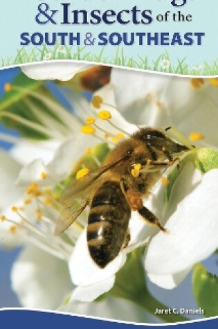 Cover of Garden Bugs & Insects of the South & Southeast