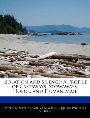 Book cover for Isolation and Silence