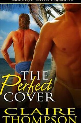 Cover of The Perfect Cover