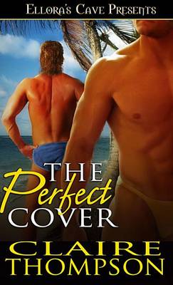 Book cover for The Perfect Cover