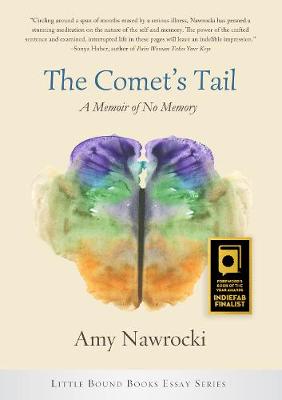 Book cover for The Comet's Tail