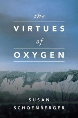Cover of The Virtues of Oxygen