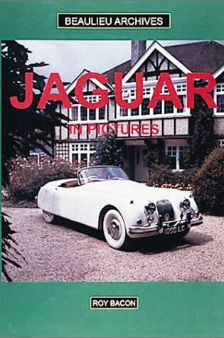 Cover of Jaguar in Pictures