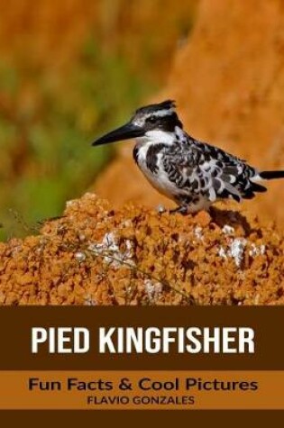 Cover of Pied Kingfisher