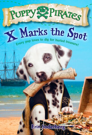 Cover of X Marks the Spot