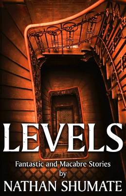 Book cover for Levels