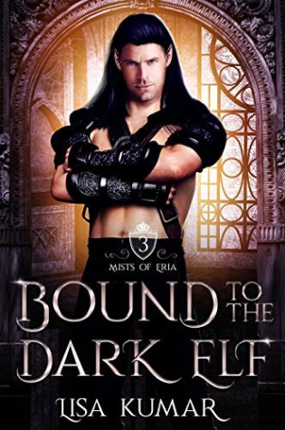 Cover of Bound to the Dark Elf
