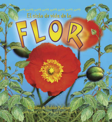 Book cover for El Ciclo de Vida de La Flor