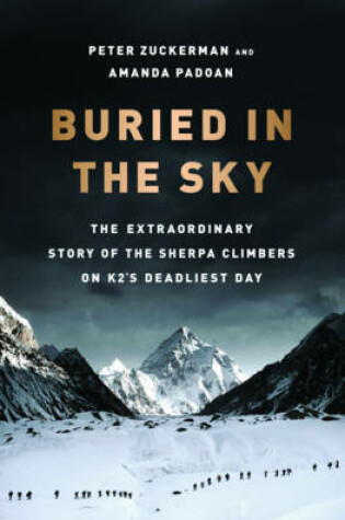 Cover of Buried in the Sky
