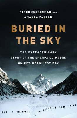 Book cover for Buried in the Sky