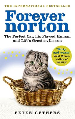 Book cover for Forever Norton