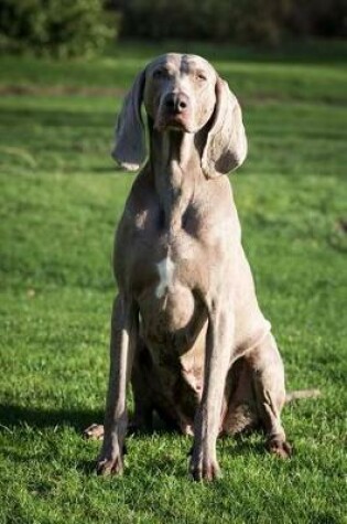 Cover of The Weimaraner Dog Journal