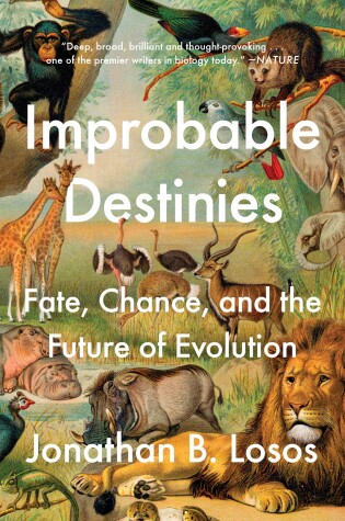 Cover of Improbable Destinies