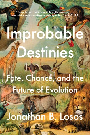 Book cover for Improbable Destinies