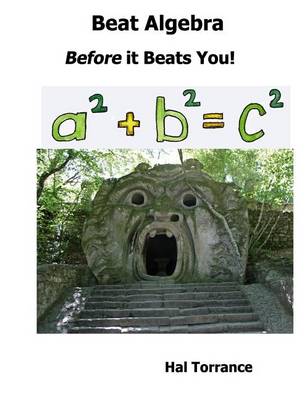 Book cover for Beat Algebra Before It Beats You!