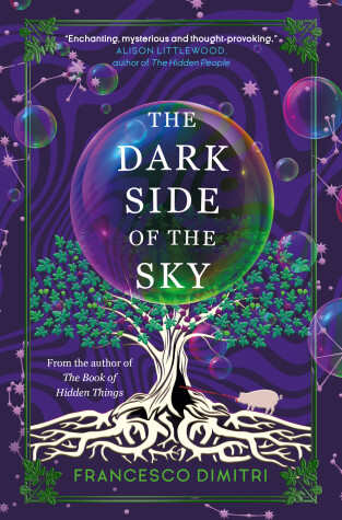 Book cover for The Dark Side of the Sky