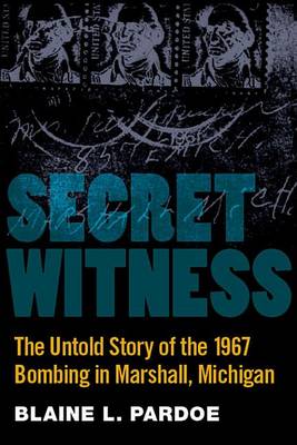 Book cover for Secret Witness