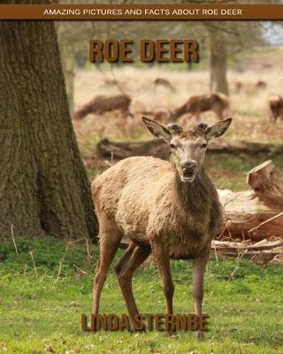 Book cover for Roe Deer