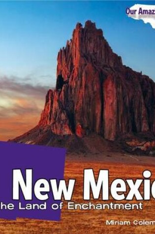 Cover of New Mexico