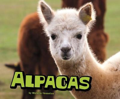 Book cover for Alpacas