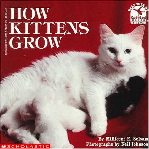 Book cover for How Kittens Grow