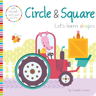 Book cover for Circle & Square