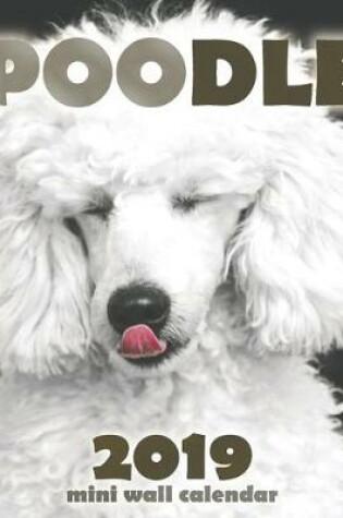 Cover of Poodle 2019 Mini Wall Calendar