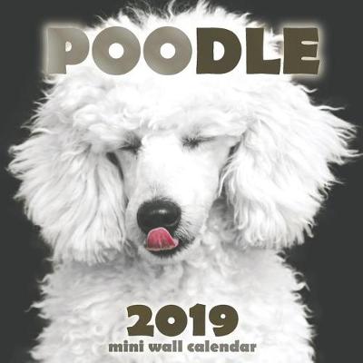 Book cover for Poodle 2019 Mini Wall Calendar