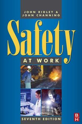 Cover of Safety at Work