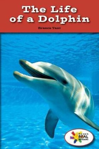 Cover of The Life of a Dolphin