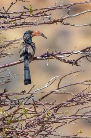 Cover of Hornbill Bird in the Wild Journal