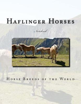 Book cover for Haflinger Horses Notebook