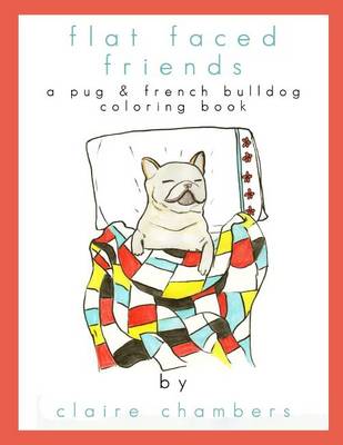 Book cover for Flat Faced Friends