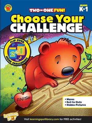 Book cover for Choose Your Challenge, Grades K - 1