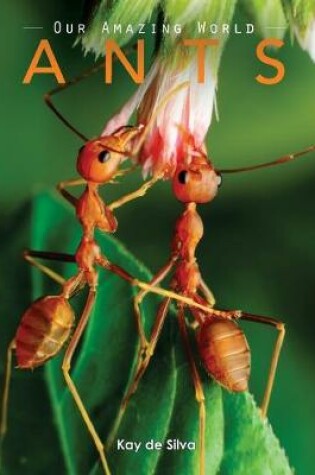 Cover of Ants