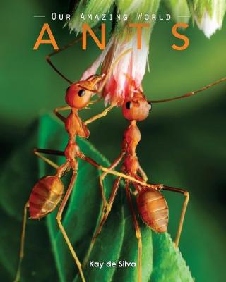 Cover of Ants