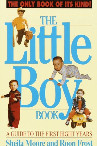 Cover of The Little Boy Book